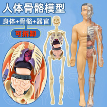 ���w�Y��������ģ�̓�ͯ����J֪��������K����3d�t�W�ɲ�жƴ�b