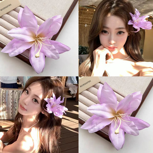 �紺�Շ��жȼ��L�ٺϻ��l�A���ɷ��滨���հl�Ů��߅�A�^���^�