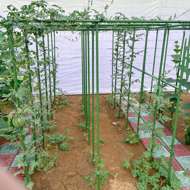 キュウリの豆の角の藤の棚のブドウの棚の四季の豆の花の棚の庭の屋外の支持のメロンの棚の植物の支持の棒|undefined