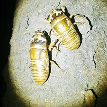 ��֪�˺�ß�����֪�˺���s���挣�ß����Ͳ�����h