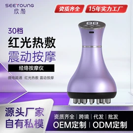 电子美容仪;美容导入仪;美眼仪