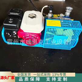 应急救援高压潜水呼吸气瓶消防移动空气充填泵组便携式移动填充泵