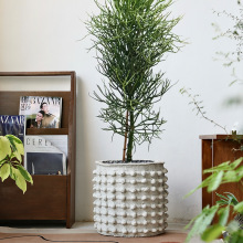 大号水泥仿古圆点突起创意花盆混凝土做旧复古小众设计感盆景盆