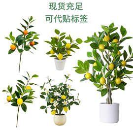 创意仿真柠檬树盆栽仿真水果树枝绿植装饰摆件客厅摆设橘子树