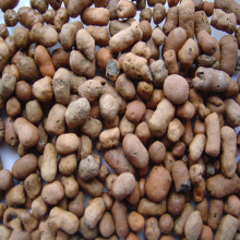 绿化人工湿地轻质陶粒制衣厂循环水过滤生物挂膜陶粒滤料培菌滤料