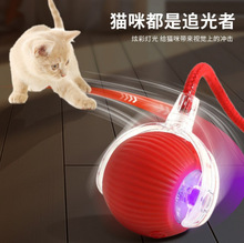 �羳�����Զ���è�������ߵ綯���������˽��������˶�è�����