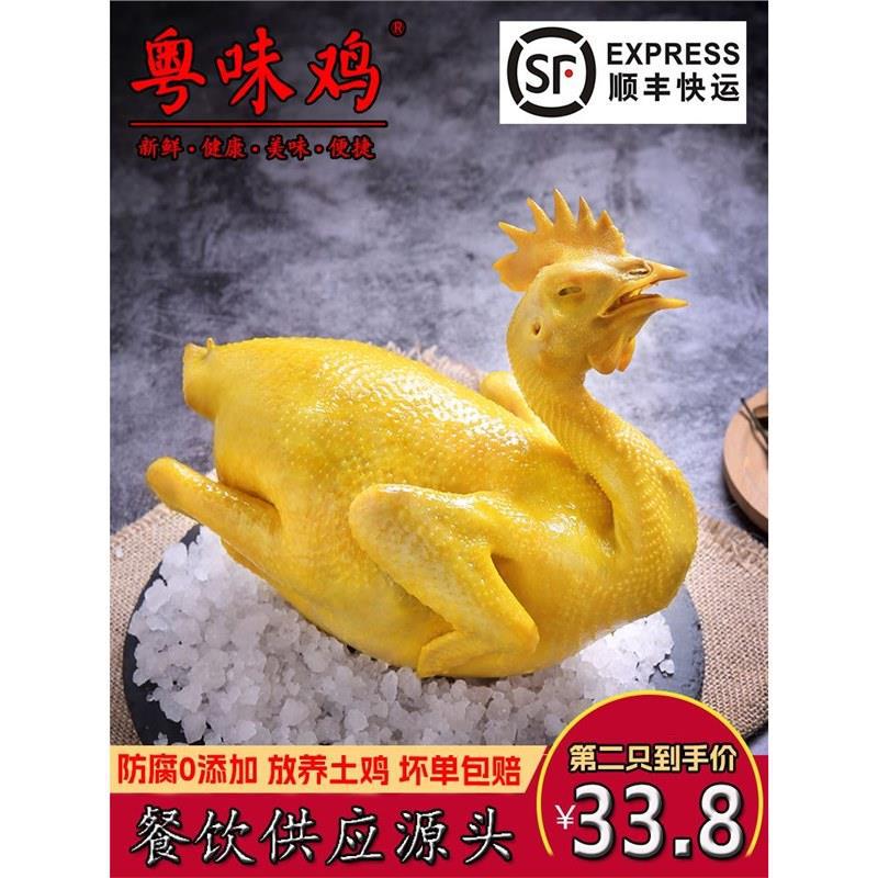 【顺丰】广东盐焗鸡整只2斤特产熟食即食手撕窑鸡客家烧鸡白切鸡