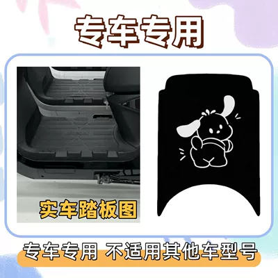 mats for No.9 electric – Electric vehicle foot mat - hapa-dog-2with-velcro-23-models-of-m80cm85cm95c