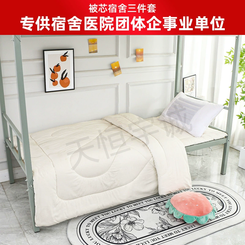 Школьное общежитие Студенческая кровать двухъярусный Комплект из трех предметов хлопок чистый хлопок сплошной цвет белый универсальный комплект из трех предметов оптом