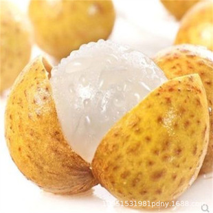 �ļ������� �޽ӟo�˹��A����ʯ�����۹����箔��Y�������ۘ���