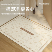 地垫入户门垫进玄关门口2024新款高级感高端耐脏免洗可擦蹭脚垫子