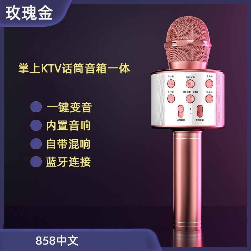 クロスボーダー貨物通WS-858マイク一体オーディオ携帯電話歌神器無線bluetoothマイク通用クロスボーダー|undefined