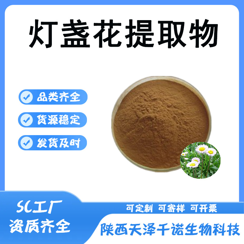 灯盏花提取物 10:1水溶 灯盏花提取 喷雾干燥多规格原料供应现货