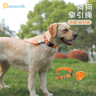 亚马逊新款宠物项圈 中大型犬带插扣可调节狗狗颈圈 时尚脖圈批发