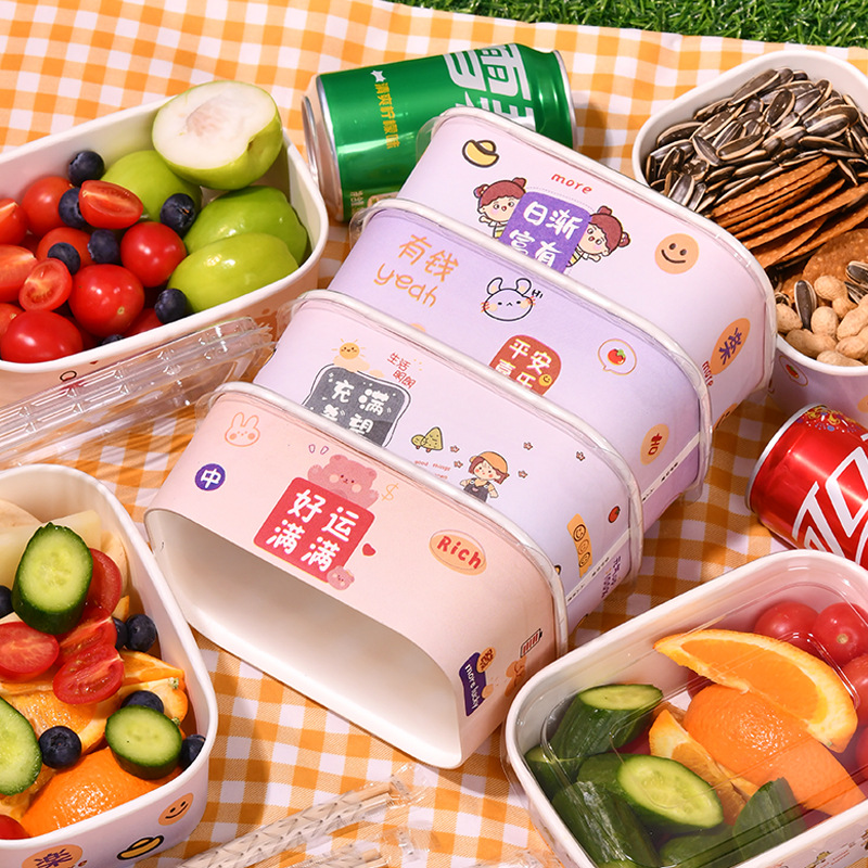 Disposable Paper Bowl Cartoon Pattern Takeaway Fast Food Packaging Box Camping Picnic Fruit Paper Lunch Box with Lid Available for Wholesale