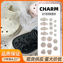 新款鞋花果冻花树脂半透明高亮洞洞鞋配饰cocros花族装饰立体鞋扣