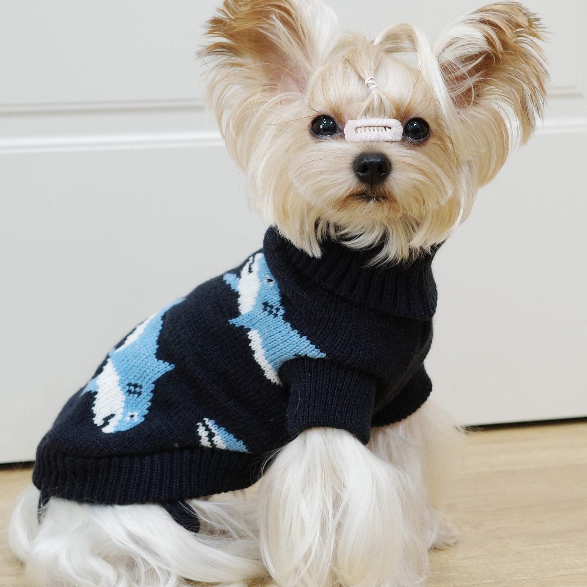 犬ニットセーター秋冬サメ柄暖かいペット服小型犬テディビションかわいい服