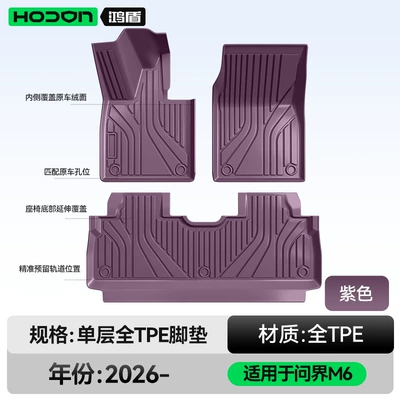 Car Interior Modification Accessories Trunk – Modelə uyğun ayaqaltı - 212t01-wenjie-m6-26-models-single-layer-foot-pad-purple-tpe-thickened-economical-and-ordinary-style