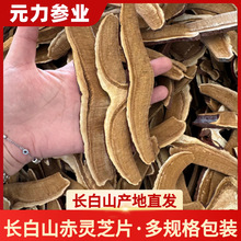 Lɽ`֥`֥Ұ`֥Ƭ Դ^aֱl