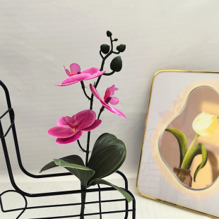 3D�zƬ��ӡ�����m���b�ٻ��͏d�Ҿ��b�Ʒ�[���ŵ�ɻ��[�O������