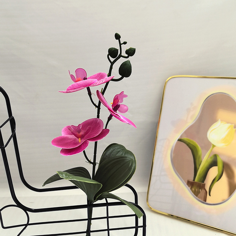 3D Film Printing Phalaenopsis Set Fake Flowers Living Room Home Decoration Ornaments Classical Dried Flower Ornaments Silk Bouquet 3D Film Printing Phalaenopsis Set Fake Flowers Living Room Home Decoration Ornaments Classical Dried Flower Ornaments Silk Bouquet