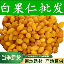 Ұɽ �ɰ׹� �y�ӹ��� ��İ׹������r 500����؛��؛