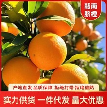 【产地直发】正宗赣南甜脐橙新鲜现摘江西橙子水果10斤整箱批发价