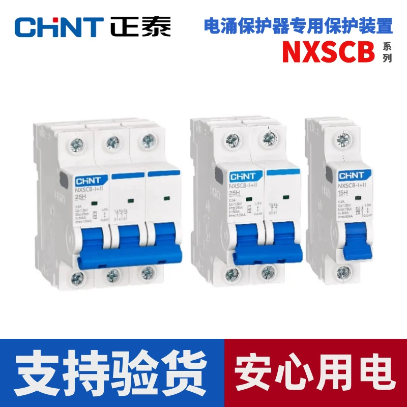 Устройство защиты от обновления задней части Zhengtai NXSCB-I+II 1-й/2-й уровень NXSCB-Ⅱ 20KA40KA 2P4P