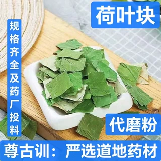 中药材荷叶 荷叶茶 荷叶丝茶 荷叶茶 方形荷叶茶 荷叶片 常年大货