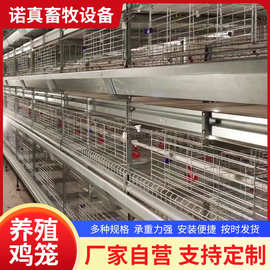 全自动化蛋鸡笼养殖场自动化设备鸡舍镀锌鸡笼子养殖阶梯鸡笼