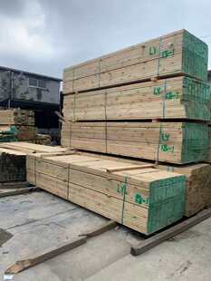 ����������̼��ľ���ľ���������Ѽ��ȼܛ�ͤͥԺ�ذ����ľ�ӹ�