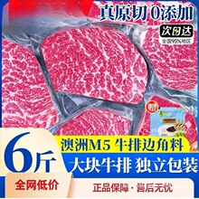 ţ���M���߅����ԭ��ţ�ź������rţ�ⰲ��˹M5��ţ��ѩ������