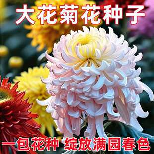 �󻨾ջ��N���ͺ������̓������＾�÷N�Gֲ�G���̨ͥԺ�r���N��