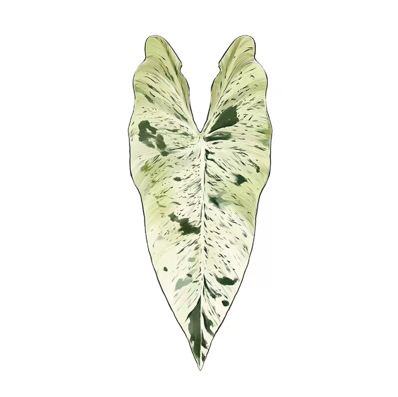 植物の魔法】熱帯の珍しい植物のアイデアの緑の植物の冷蔵庫は緑の植物の装飾の植物のシリーズの冷蔵庫を貼って貼ります。|undefined