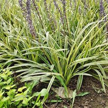 ��������ͥԺ���������ͺ��`̤�@�־G����ľ��ƺֲ���߅�����ݻ�