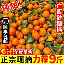 正宗广西砂糖橘10斤新鲜水果当季超甜橘子精品无籽小沙糖桔子包邮