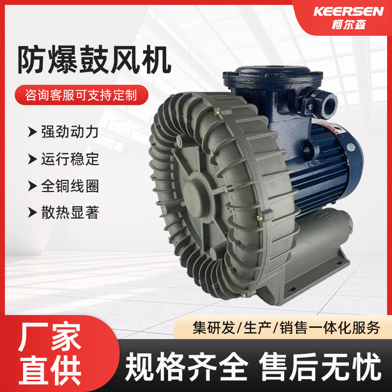 粉尘防爆鼓风机旋涡气泵 气体输送防爆高压风机 易燃易爆处理风机