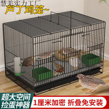 �¿��J���u�Bֳ�\�Ӽ��ü��ܴ�̖�J���u�F�z�\С�uС�����g���B�\