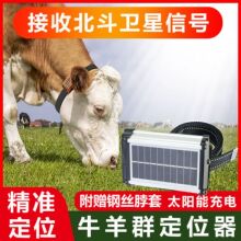 牛羊追踪神器山区专用gps定位器动物放牧追踪卫星定位防水防潮gps