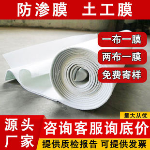 Collection of Geomembrane Waterproof Slope Protection 1424 Anti-Seepage Mermaid Pool Special Pe Moisture-Proof Reservoir Composite Hd Two