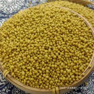 �F�������خa���w��׿��w������w������w�����ȴּZ�s�Z���l