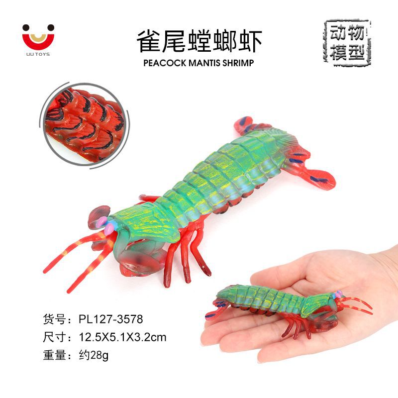 仿真海洋动物模型虾蛄皮皮虾 雀尾螳螂虾 七彩螳螂虾摆件认知玩具