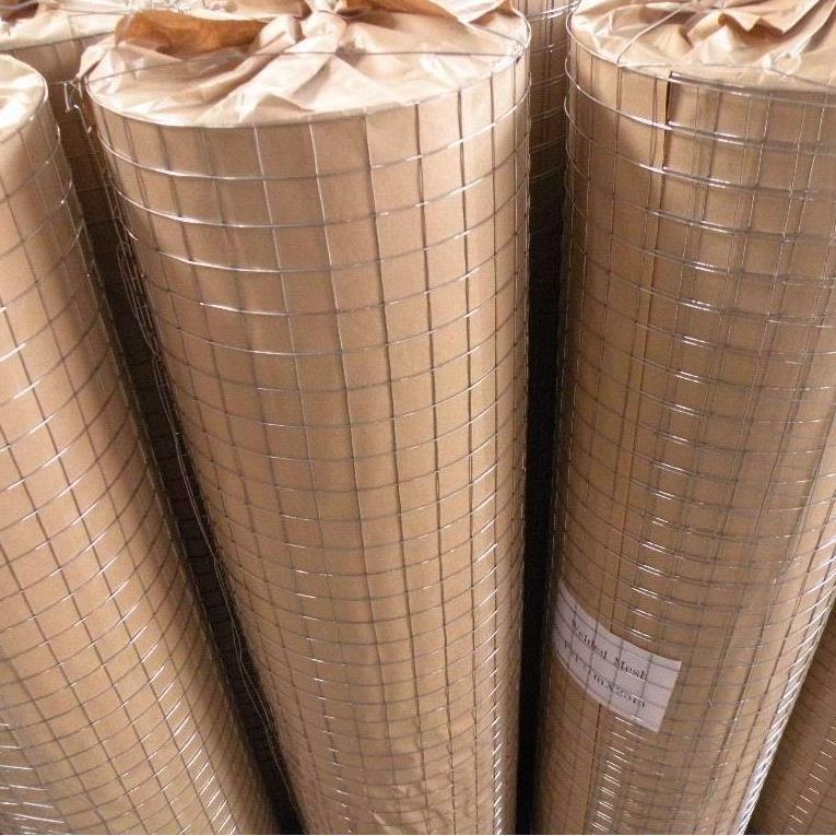 镀锌电焊网 抹墙挂灰网 热镀钢丝网厂家