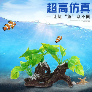 ����ֲ�� �~�ײ���ֲ�� ˮ�����~���쾰�[��Ʒ��֬�ٷ����ľ���y