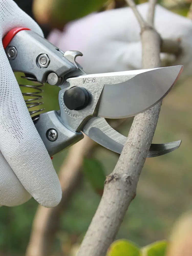 爱丽斯 铸铝树枝修枝剪 果树修花手剪VS-789XZ园林园艺工具剪刀