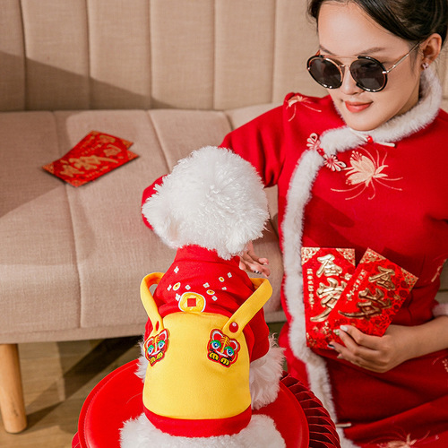 New Year's sweatshirt for small dogs, festive two-legged clothes for small and medium-sized dogs, autumn and winter kittens, warm pet clothes