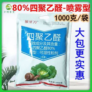 80%�ľ���ȩ΁ţș�ۄ���ʩ��΁ţ�����x����ș΁ţș�ۄ�������