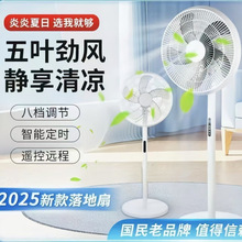 新款2025电风扇节能落地式遥控家用静音落地扇摇头大风力立式工厂