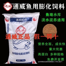 ����a�~�~�_���~�w���~���Bֳ�|�~�~���^�p�~�ߵ���