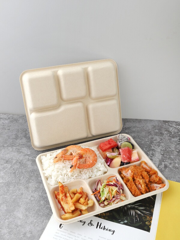 Disposable Pulp Multi-Compartment Tray Sugarcane Pulp Five-Compartment Tray Shallow Tray Biodegradable Disposable Tray Square Tray